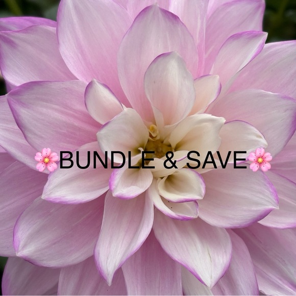 🌸SAVE 25% when you BUNDLE 2 or MORE items🌸 - Picture 2 of 2